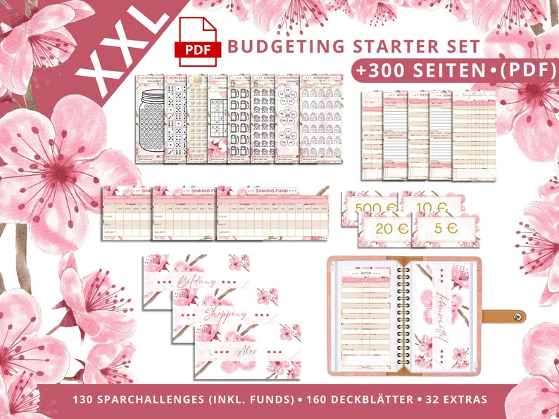 300 Finanzplaner Starter-Set