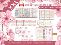 300 Finanzplaner Starter-Set